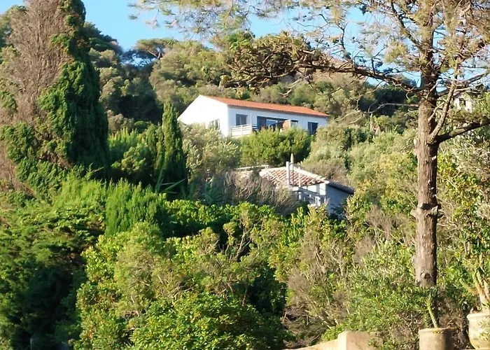 Cap Azur Île du Levant